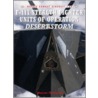F-117 Stealth Fighter Units in Operation Desert Storm by Warren Thompson