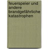 Feuerspeier und andere brandgefährliche Katastrophen by Cressida Cowell