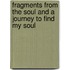 Fragments From The Soul And A Journey To Find My Soul