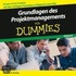 Grundlagen Des Projektmanagements Fur Dummies Horbuch