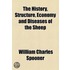 History, Structure, Economy And Diseases Of The Sheep