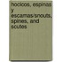 Hocicos, Espinas y Escamas/Snouts, Spines, and Scutes