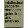 Intellectual Property Damages Guidelines And Analysis door Mark A. Glick