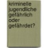 Kriminelle Jugendliche   gefährlich oder gefährdet?