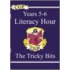 Ks2 English Literacy Hour The Tricky Bits - Years 5-6