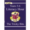 Ks2 English Literacy Hour The Tricky Bits - Years 5-6 door Richards Parsons