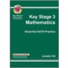 Ks3 Maths Topic-Based Practice Multipack - Levels 3-6 door Richards Parsons