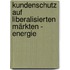 Kundenschutz auf liberalisierten Märkten - Energie