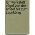 Lernwerkstatt Vögel Von der Amsel bis zum Zaunkönig