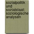 Sozialpolitik und Sozialstaat: Soziologische Analysen