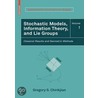 Stochastic Models, Information Theory, And Lie Groups door Gregory S. Chirikjian