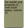 The Wealth And Progress Of New South Wales, Volume 12 door Timothy Augustine Coghlan
