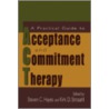 A Practical Guide to Acceptance and Commitment Therapy door Stephen C. Hayes