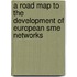 A Road Map To The Development Of European Sme Networks
