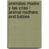 Animales madre y las crias / Animal Mothers and Babies
