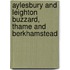 Aylesbury And Leighton Buzzard, Thame And Berkhamstead