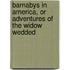 Barnabys in America, Or Adventures of the Widow Wedded