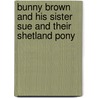 Bunny Brown And His Sister Sue And Their Shetland Pony door Laura Lee Hope
