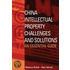 China Intellectual Property - Challenges And Solutions