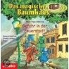 Das Magische Baumhaus 21. Gefahr In Der Feuerstadt. Cd door Mary Pope Osborne