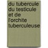 Du Tubercule Du Testicule Et de L'Orchite Tuberculeuse