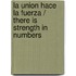 La union hace la fuerza / There is Strength in Numbers