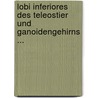 Lobi Inferiores Des Teleostier Und Ganoidengehirns ... by Johann Jakob David