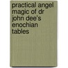Practical Angel Magic Of Dr John Dee's Enochian Tables door Stephen Skinner