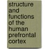 Structure And Functions Of The Human Prefrontal Cortex