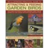 The Illustrated Practical Guide To Birds In The Garden