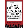 The Jews Of East Central Europe Between The World Wars door Ezra Mendelsohn