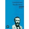 Theodor Storm. Literaturwissen für Schule und Studium door Winfried Freund