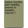 Twelve Months With Fredrika Bremer In Sweden, Volume 1 door Margaret Howitt