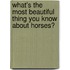 What's the Most Beautiful Thing You Know About Horses?