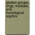 Abelian Groups, Rings, Modules, and Homological Algebra
