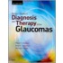 Becker-Shaffer's Diagnosis and Therapy of the Glaucomas