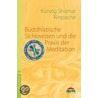 Buddhistische Sichtweisen und die Praxis der Meditation door Künzig Shamar Rinpoche