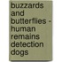 Buzzards And Butterflies - Human Remains Detection Dogs