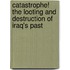 Catastrophe! The Looting And Destruction Of Iraq's Past