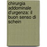 Chirurgia Addominale D'urgenza: Il Buon Senso Di Schein by Unknown