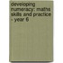 Developing Numeracy: Maths Skills And Practice - Year 6