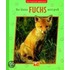 Die Tierkinder-Bibliothek - Der kleine Fuchs wird groß