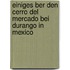 Einiges Ber Den Cerro del Mercado Bei Durango in Mexico