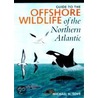 Guide To The Offshore Wildlife Of The Northern Atlantic by Michael H. Tove
