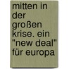 Mitten in der großen Krise. Ein "New Deal" für Europa door Stephan Schulmeister