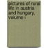 Pictures Of Rural Life In Austria And Hungary, Volume I