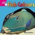 Rigby Star Independent Reception Pink Level Non Fiction