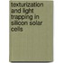 Texturization And Light Trapping In Silicon Solar Cells