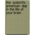 The  Scientific American  Day In The Life Of Your Brain
