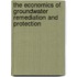 The Economics of Groundwater Remediation and Protection